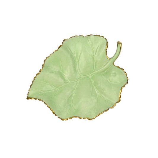 Autumn Green Mulberry Leaf