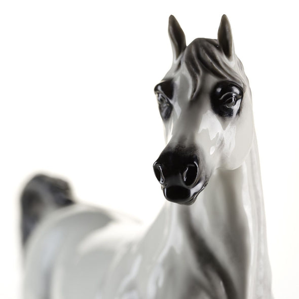 Al Lahab Arab Horse - Limited Edition 300 Pcs