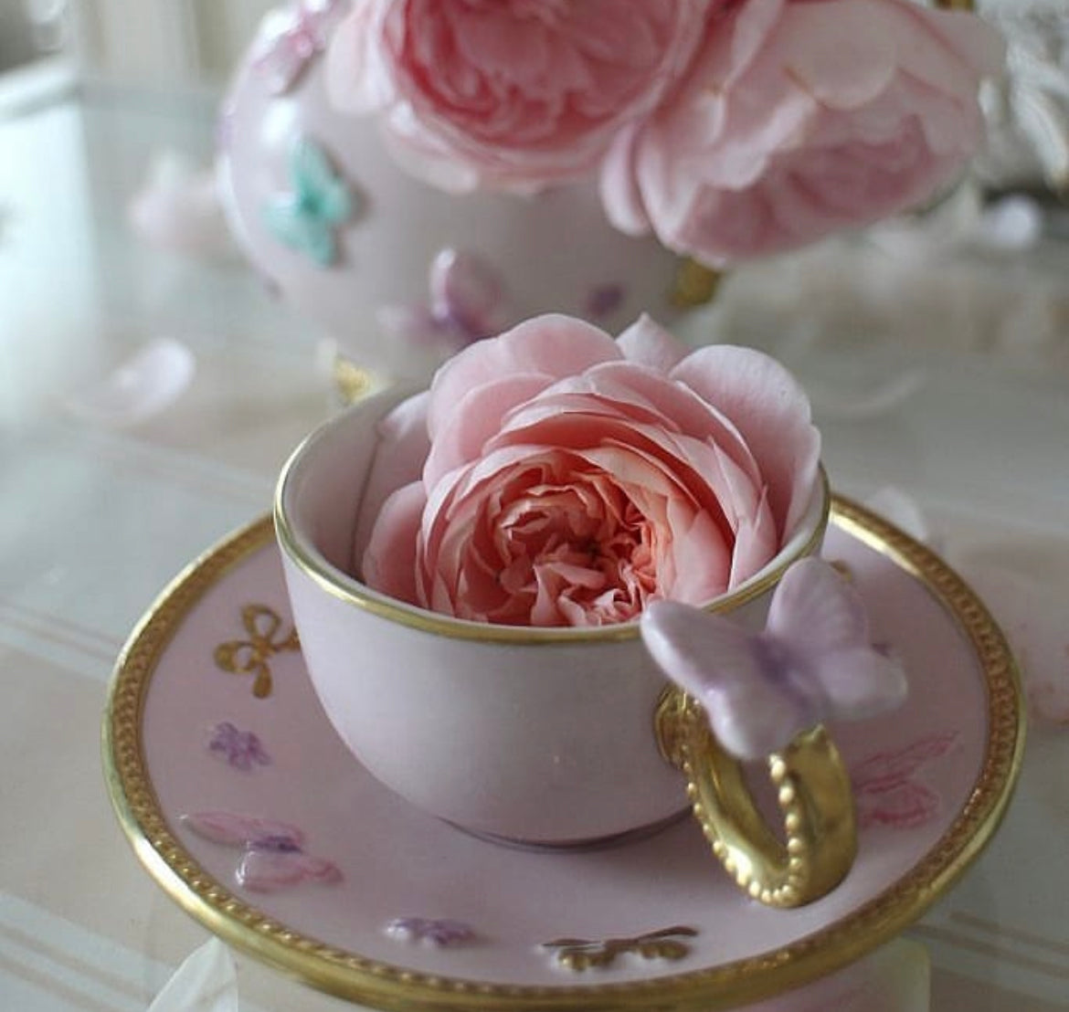 Butterfly Pastel Pink Coffee Cup & Saucer